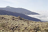 The Ajcanacu pass at 3739 m the last Andean pass that marks the entrance to the National Park of Manu 